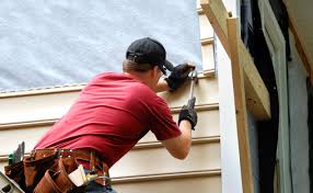 Best Insulated Siding Installation  in Olivia, MN